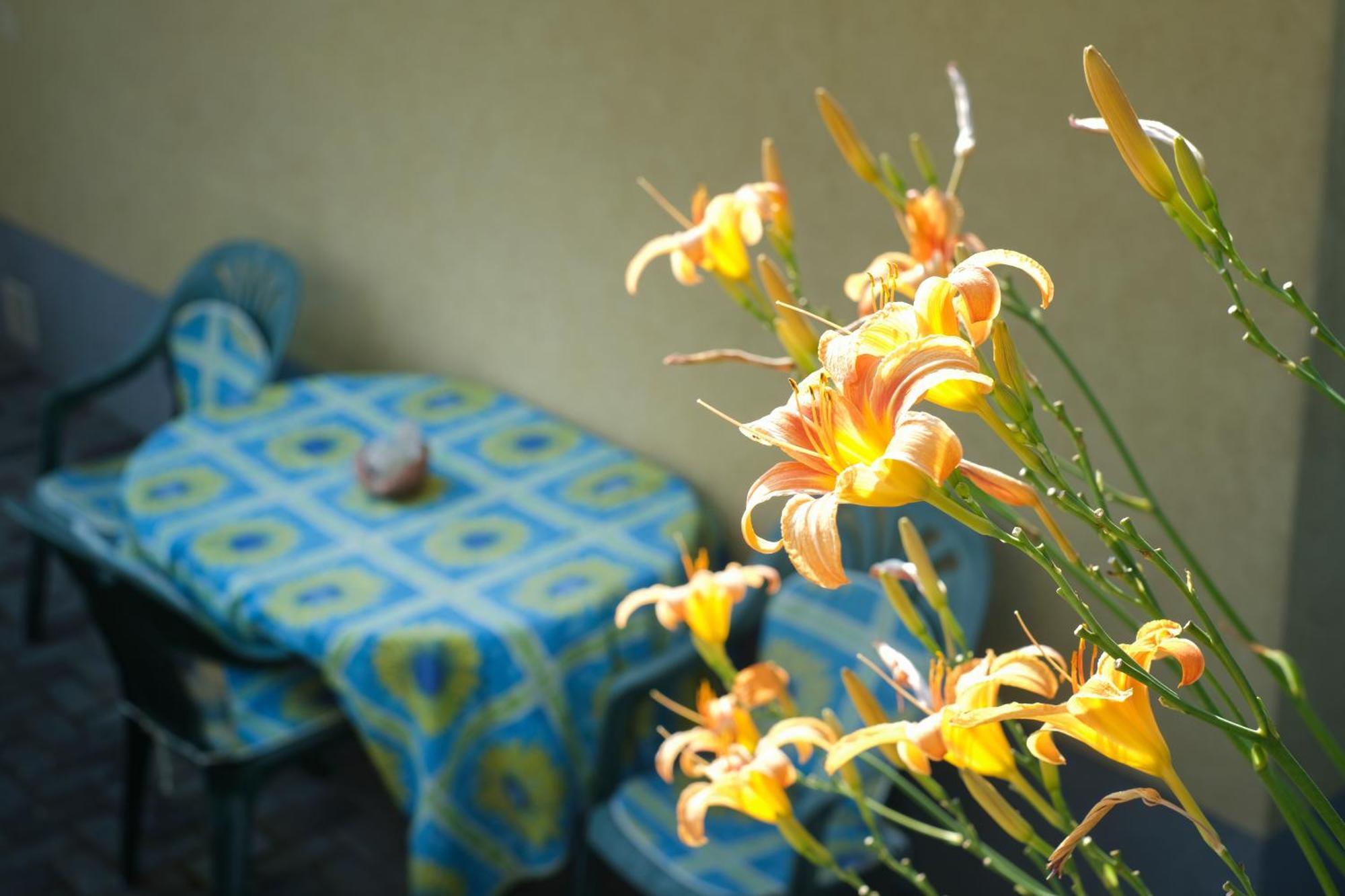 Sárvár Panorama Apartmanhaz מראה חיצוני תמונה